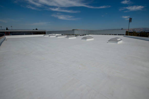 Best Roof Maintenance and Cleaning  in Whitaker, PA